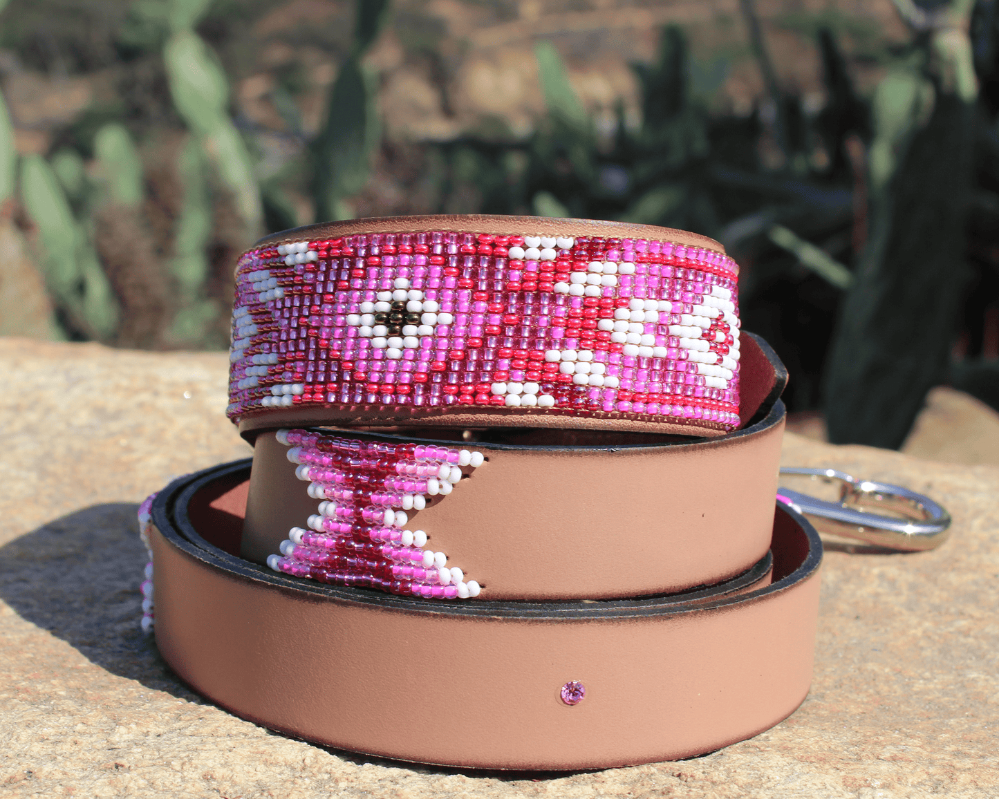 Correa y collar para perro a juego Melrose Sambboho Bundle