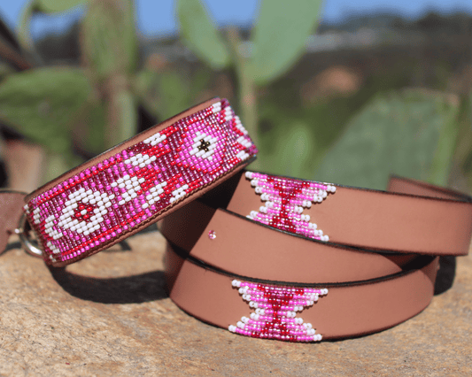 Correa y collar para perro a juego Melrose Sambboho Bundle