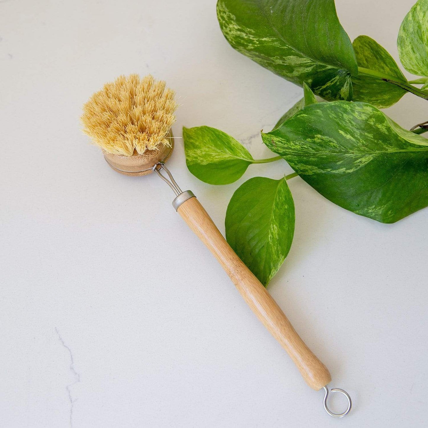 Cepillo para platos de mango largo