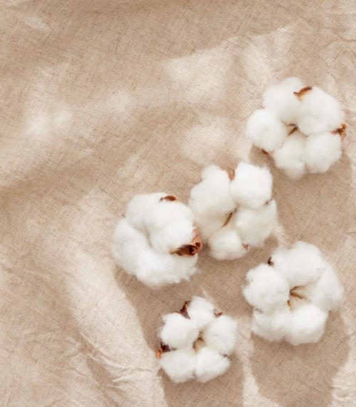 Organic Fibers
