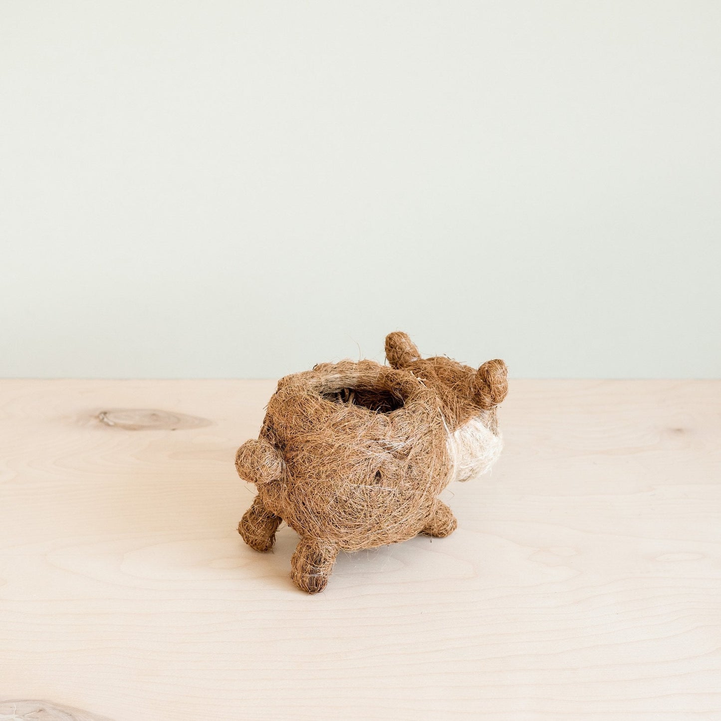 Baby Corgi Succulent Pot - Handmade Planters | LIKHÂ