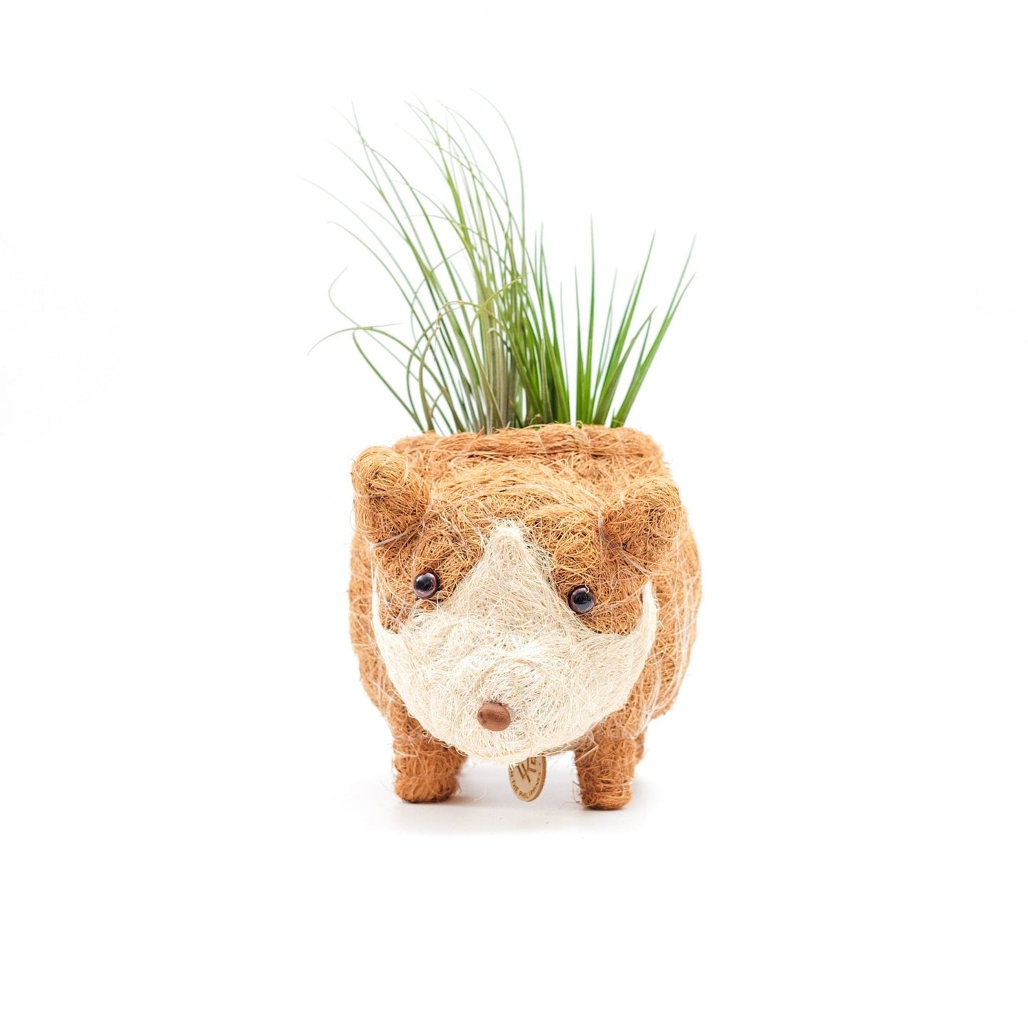 Baby Corgi Succulent Pot - Handmade Planters | LIKHÂ
