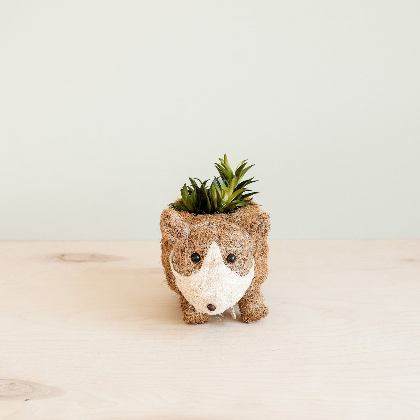 Baby Corgi Succulent Pot - Handmade Planters | LIKHÂ