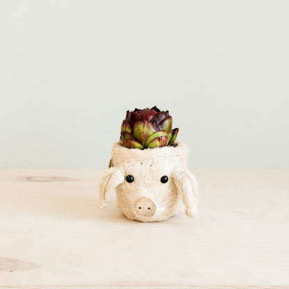 Pig Plant Pot - Animal Head Plant Pot | LIKHÂ