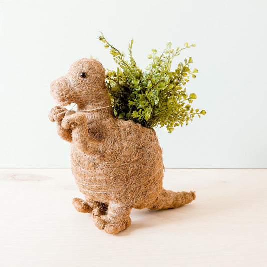 T-Rex Planter - Coco Coir Pots | LIKHÂ
