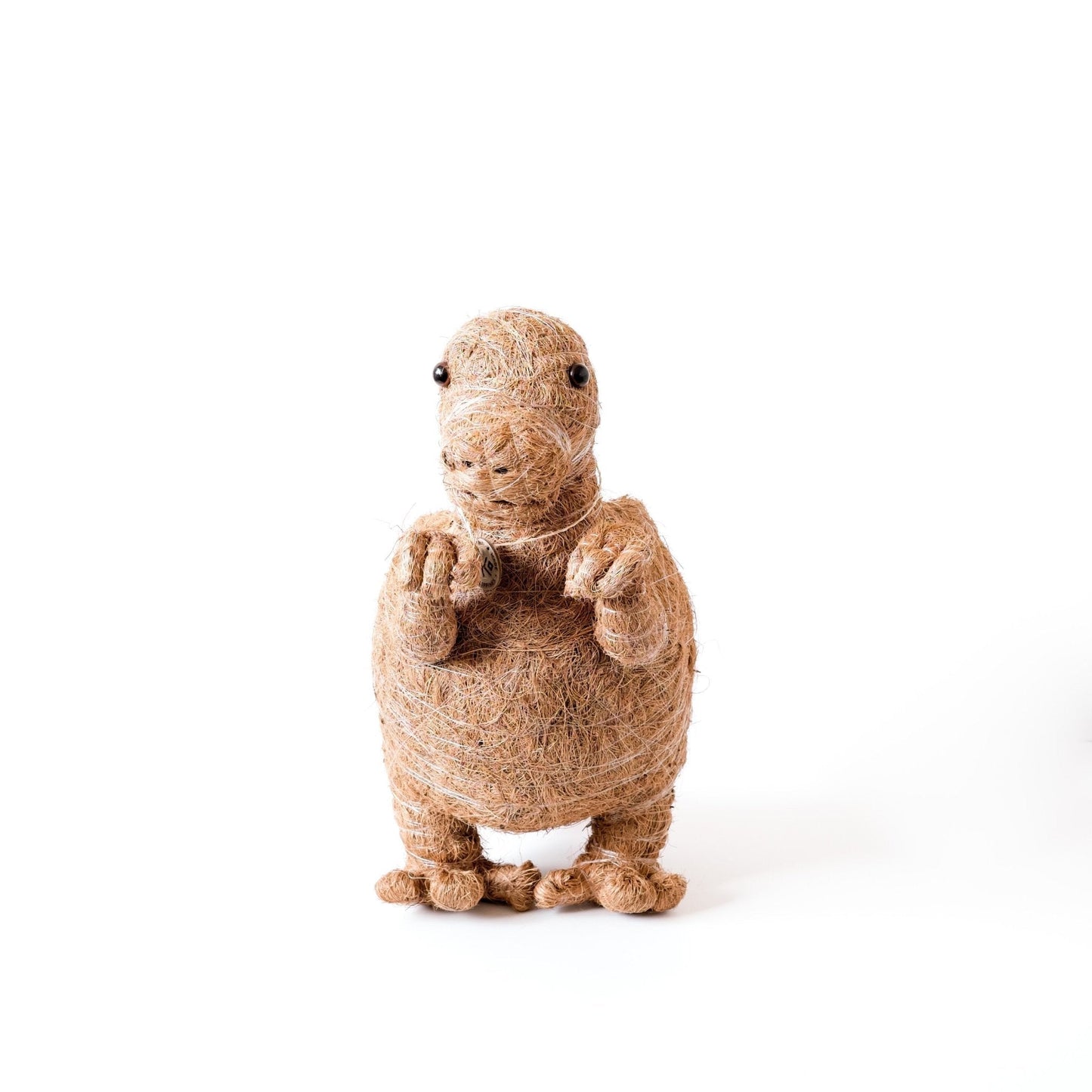Maceta T-Rex - Macetas de fibra de coco | LIKHÂ