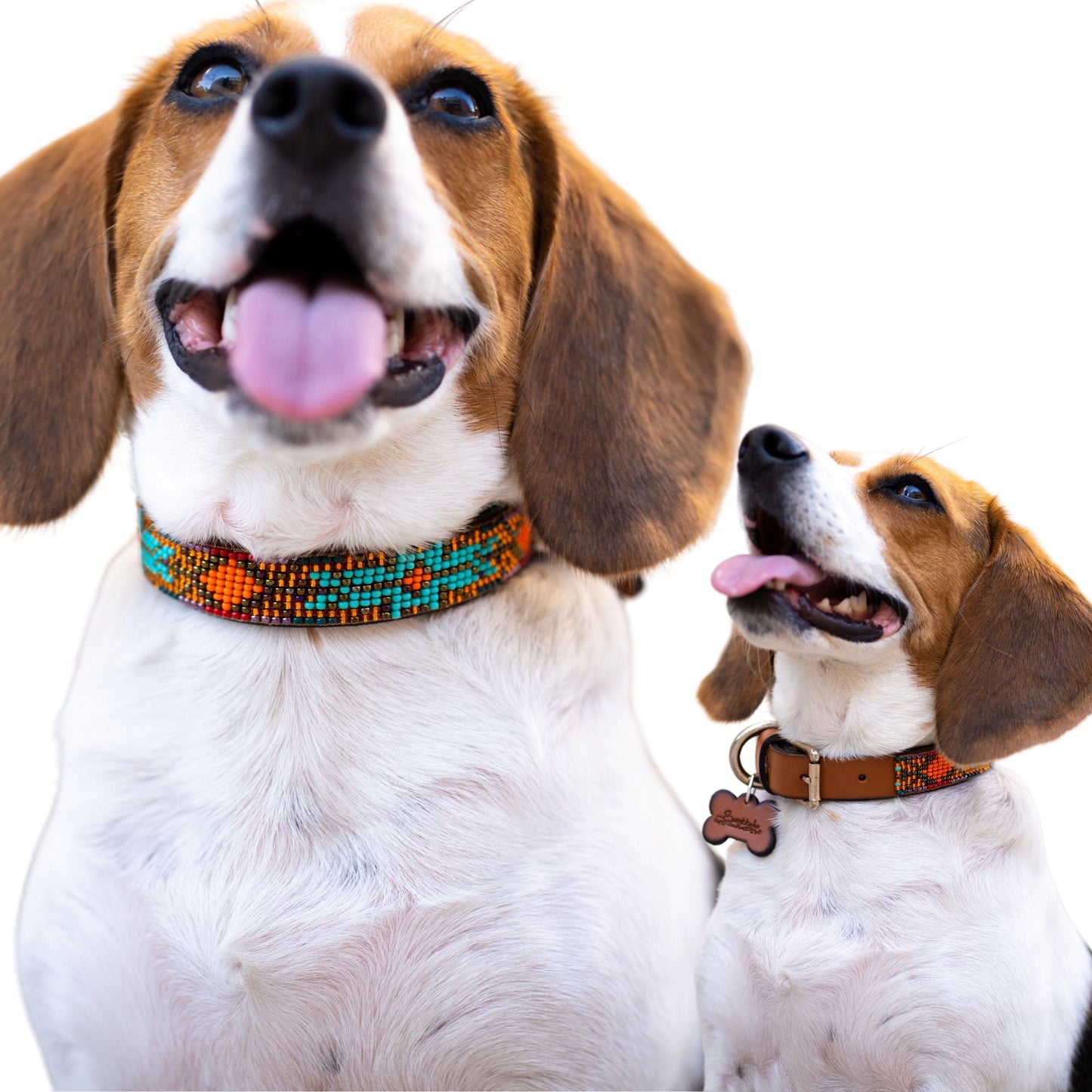 Collar para perro Sardinia Sambboho (Colección Glam)