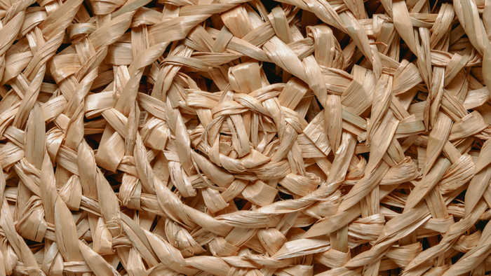 pastos marinos