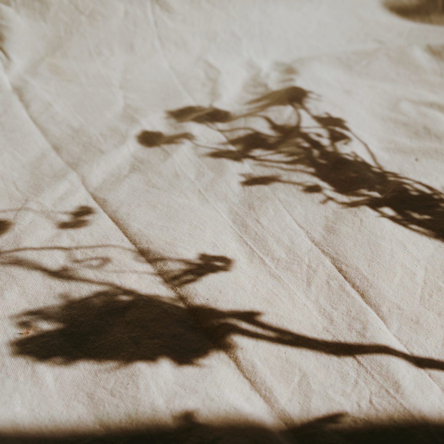 Neutral textile fabric in natural light, highlighting texture and material detail.