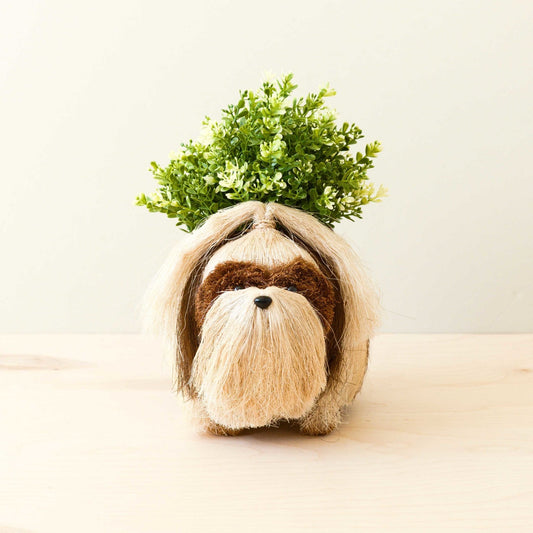 Maceta para Shih Tzu - Cesta para plantas para perros | LIKHÂ