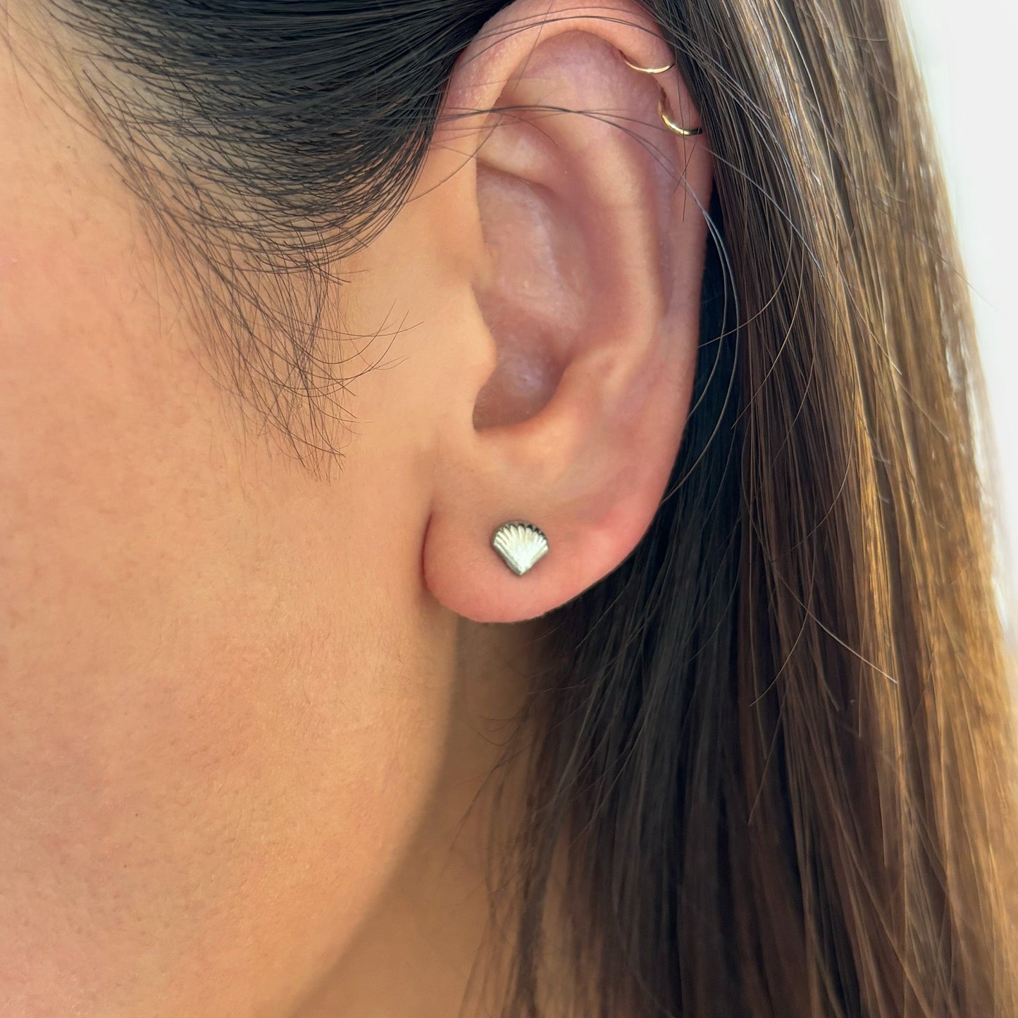 Pendientes de botón con forma de concha marina de plata delicada de Holly