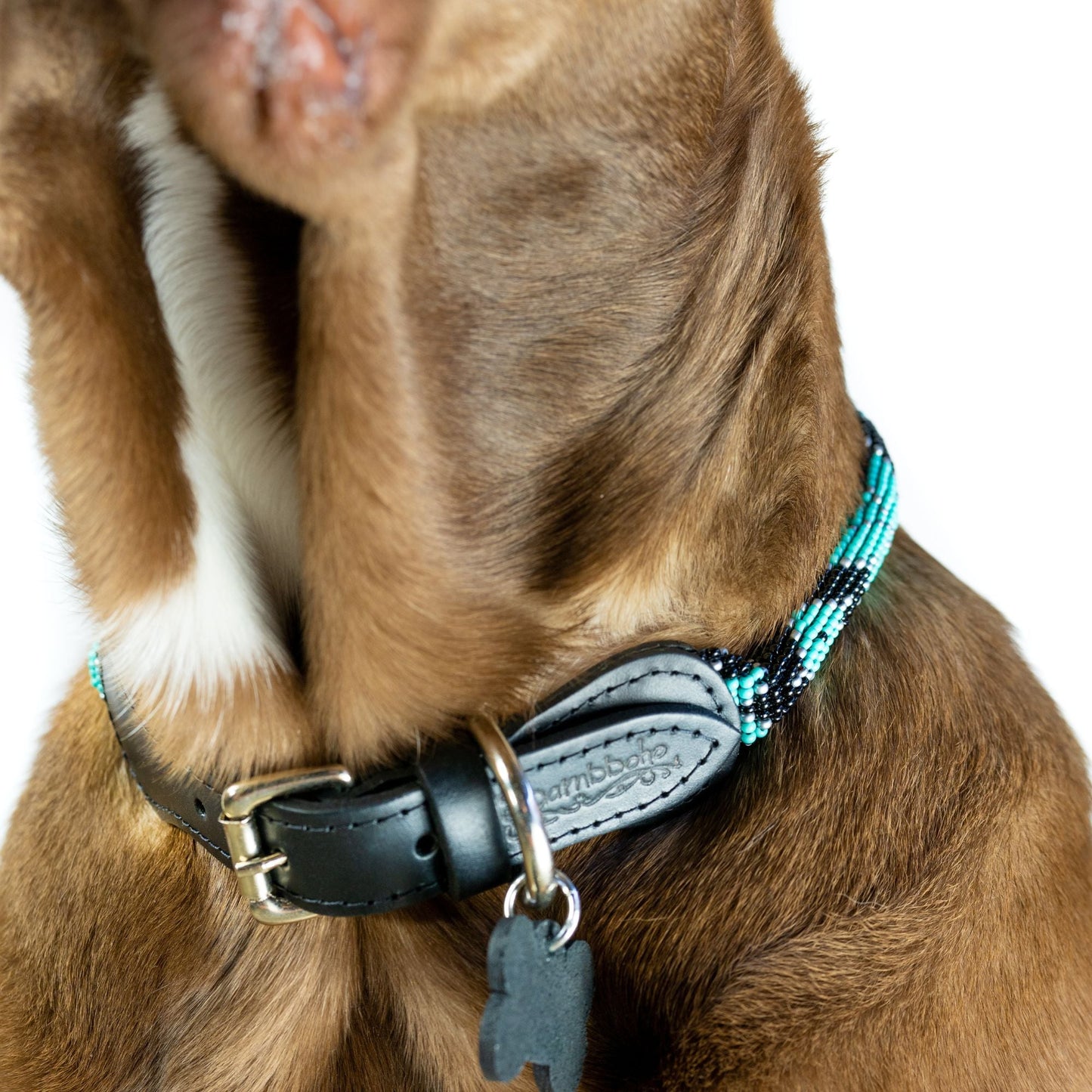 Collar para perro Saint Barth Sambboho (enrollado)
