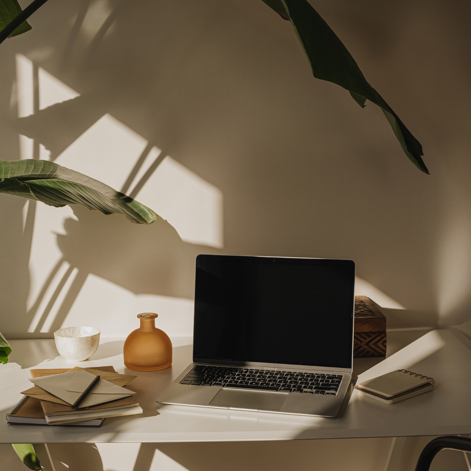 Sunlit workspace with soft shadows, plants, and neutral objects creating a calm atmosphere.
