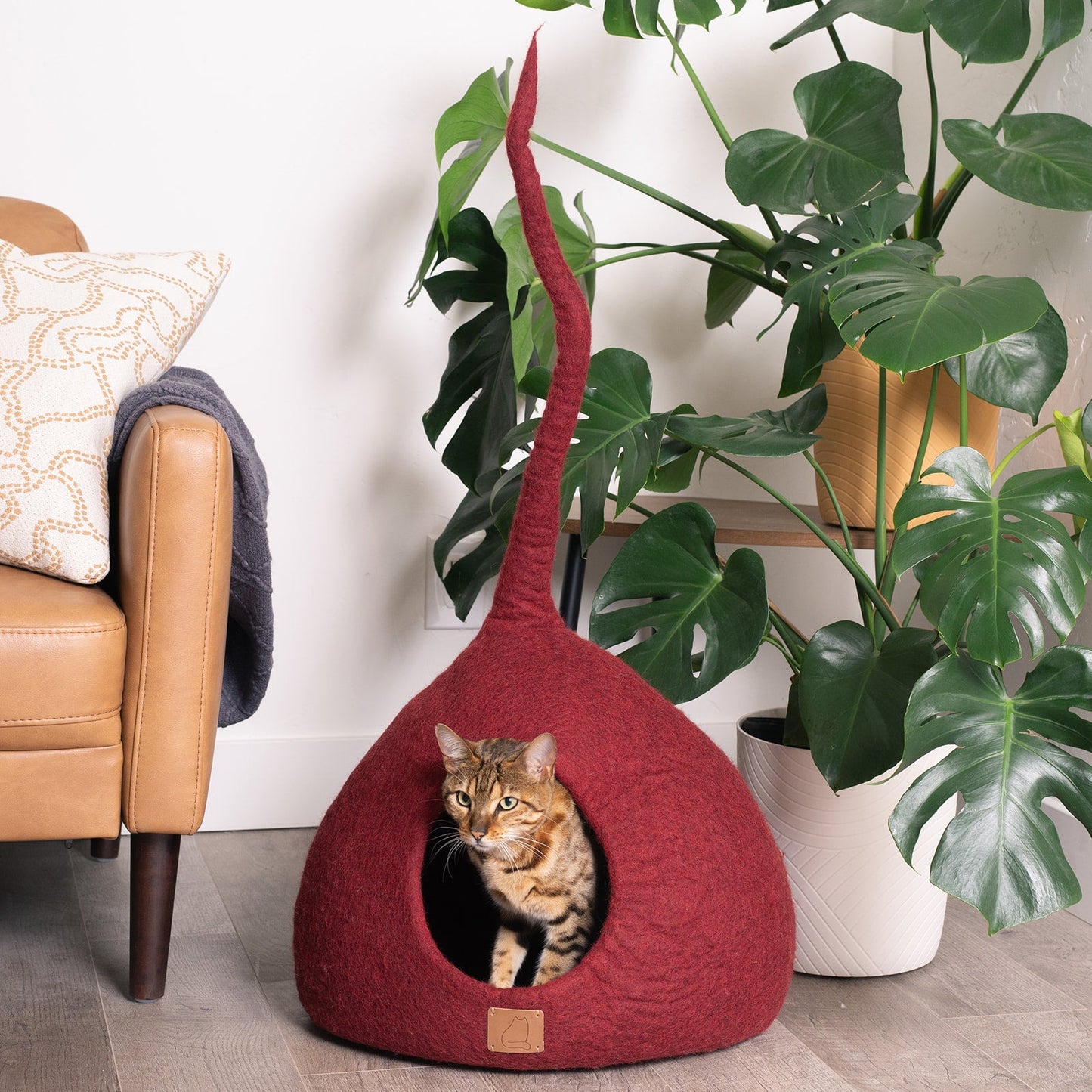 Wine Burgundy | Tail Style Cave